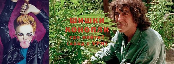 крисы Сатка