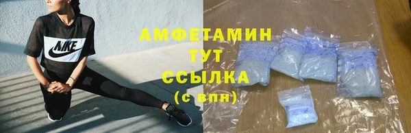 крисы Сатка