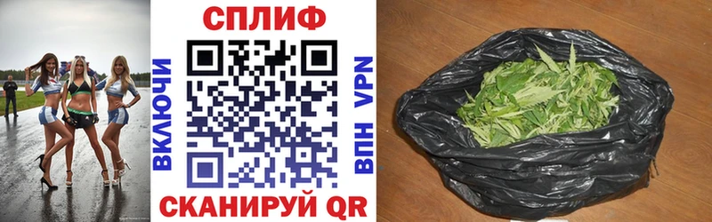 Бошки Шишки VHQ  закладка  ссылка на мегу онион  Славянск-на-Кубани 
